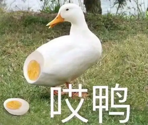  杨幂婚前眼光不行,几十只万元包全nm是鸡肋,baby婚前还被吐槽是女屌丝哈哈哈