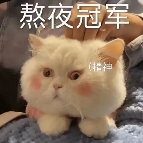  笑话十条你再喝酒,咱就离婚,看我说话算数不