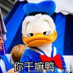  打招呼表情包早上好鸭你在干嘛鸭哈喽鸭今天吃什么鸭