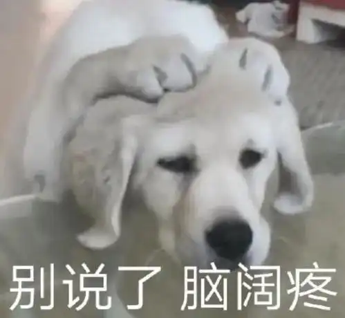 狗狗开心表情包图片沙雕