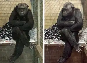  千万别跟螃蟹比谁有钳每日轻松一刻12月6日周六版