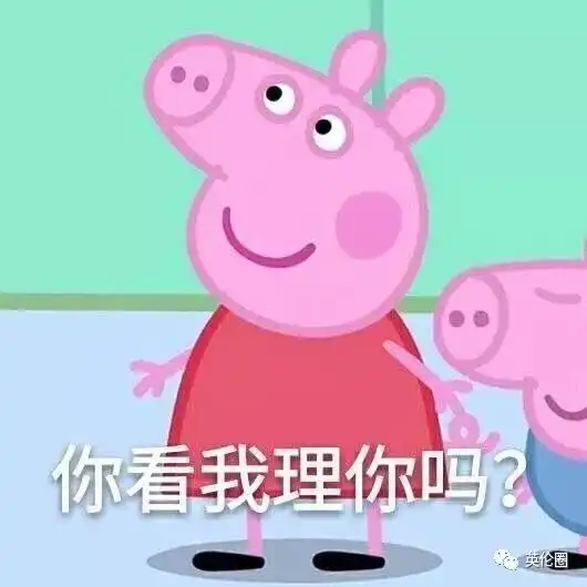 求小饼干表情包大全小猪