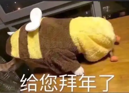 生气熊猫表情包动图牛肉