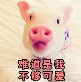  你是不是在外面有别的小猪了表情包全套