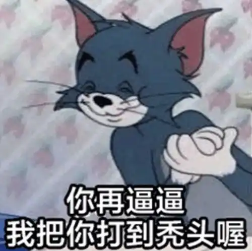 进来收图论表情包,我还从来没输过
