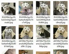  猫咪喊爸qq表情猫咪喊爸表情包高清无水印下载