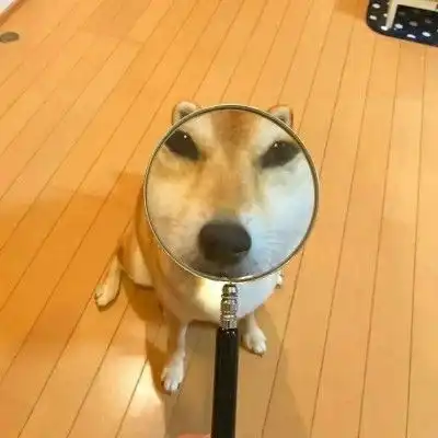 ﻿表情包搞笑沙雕情头