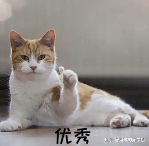  有没有读过mba的前辈来谈谈mba面试的要领