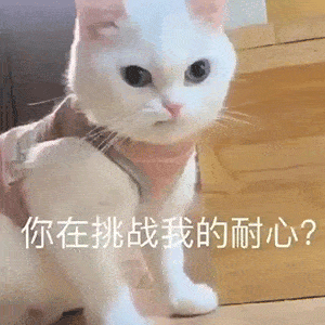  奇怪的表情增加了
