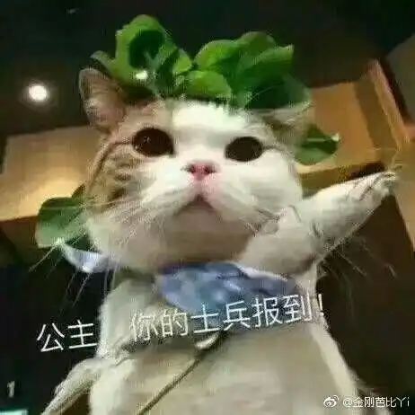 情侣表情包对女朋友的表