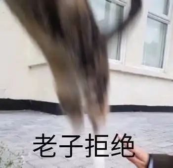 发工资表情包沙雕舔狗