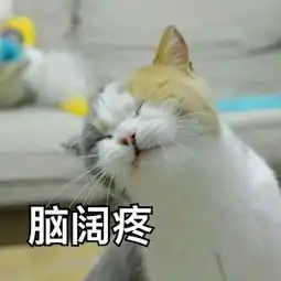  可爱的猫咪表情包合集哥哥,出来玩吗