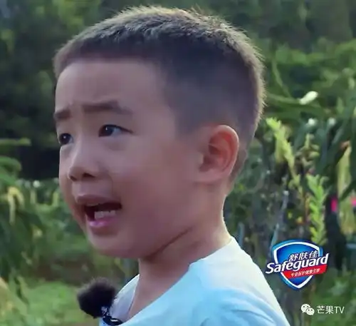 父亲的身影表情包眉毛