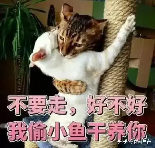 好不好嘛表情包撒娇好不