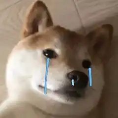 细数网工面试遇到的奇葩问题 细数网工面试遇到的奇葩问题