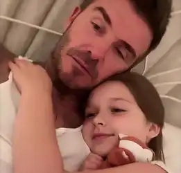 小七哈珀表情包睡觉