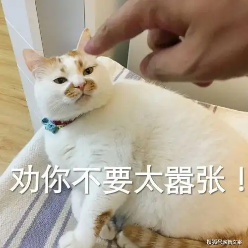  有个说梦话的室友是啥体验哈哈网友评论真精彩