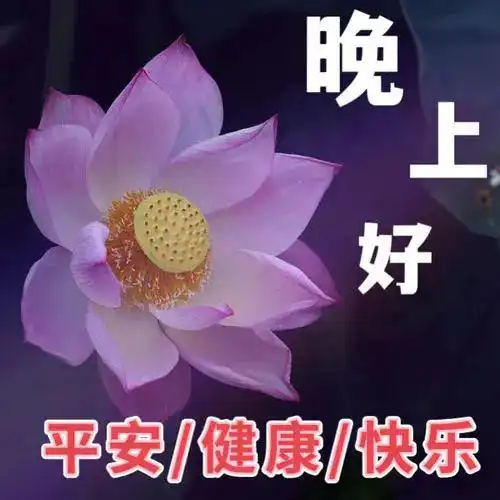  晚上好表情包,晚上好图片大全,晚上好问候,舒心好眠,