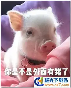  你是不是外面有别的猪了表情包下载你是不是外面有别的猪了表情包高清无水印极光下载站