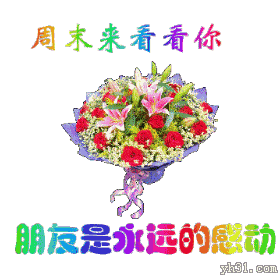  早晨正能量问安语动图微信群发早晨好表情包