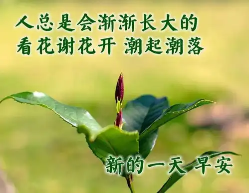  清晨浪漫早上好表情包祝福语句子,幸福的清晨早上好动态图片