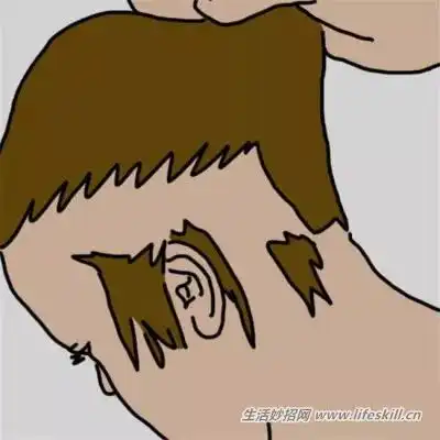 女人也有秃头风险,如何预防脱发