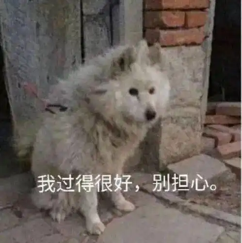  沙雕表情呵这绿茶