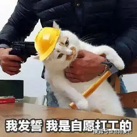  2021年岳阳工资指导价出炉你的工资在知道范围内吗