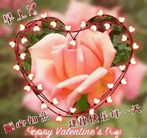  12月8日大家早上好,最新早上好特漂亮的动态祝福图片温馨的早上好短信大全