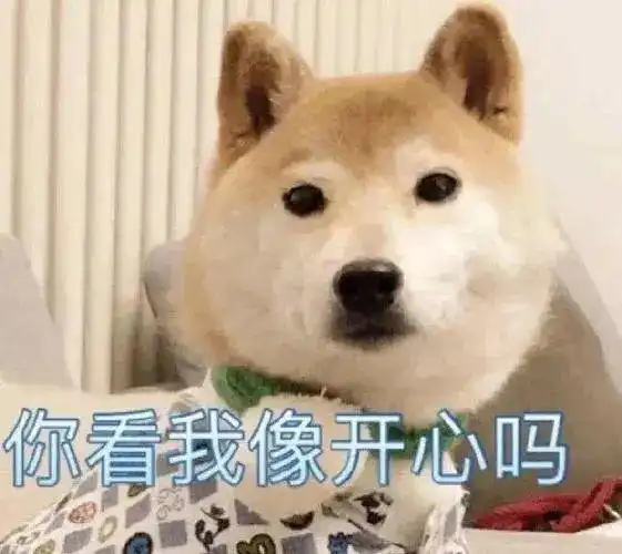 nice兄dei表情包原图柴