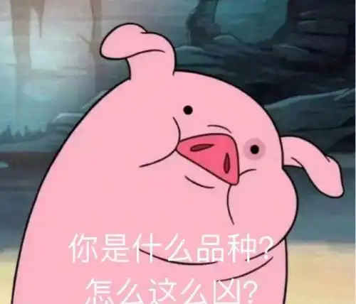 猪被打表情包开心一刻