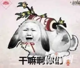  阁主说范冰冰背猫游玩快来拯救邓超的锥子脸