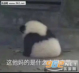 熊猫写字表情包原图刘德
