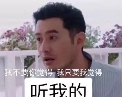 edg是什么意思表情包嘲
