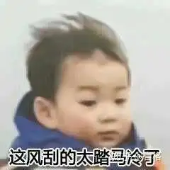  对于魔道祖师中非官配cp粉的看法
