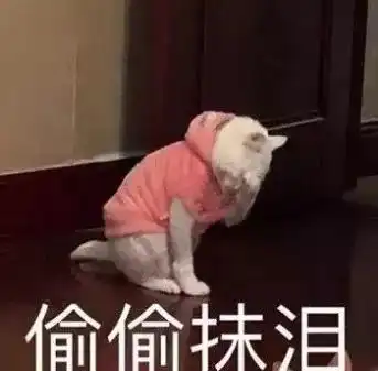 溜了表情包素材拖欠