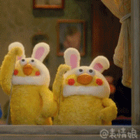  鹦鹉兄弟鸡年动态表情包下载docomo鹦鹉兄弟鸡年表情包下载高清无水印版西西软件下载