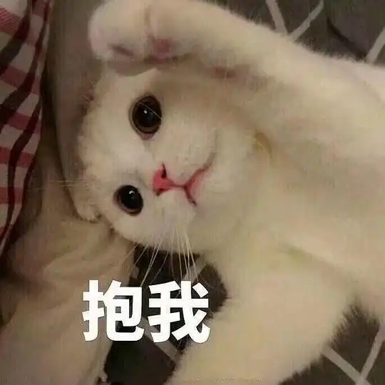  玫瑰沾白糖的相册天使猫猫的表情包