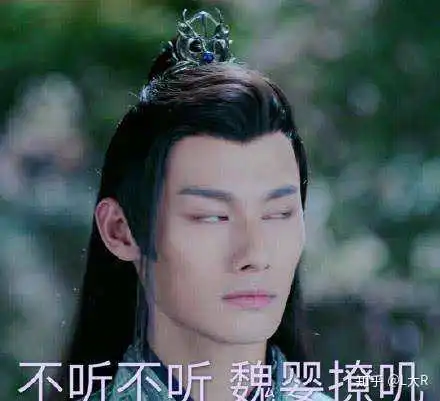 表情如何评价影视剧陈情令l大r的回答表情