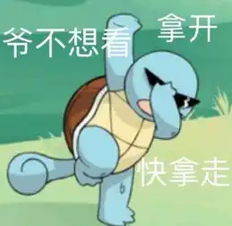  前方大量表情包出没杰尼龟咋就变成憨批代言人了