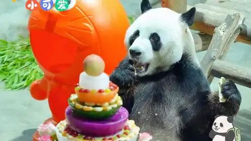  大岩子7岁了搞笑灵岩生日快乐,party也太棒了吧