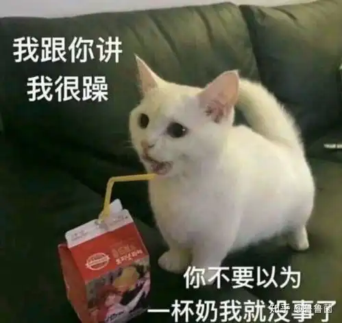  你见过哪些一句话能把男生噎死的钢铁直女