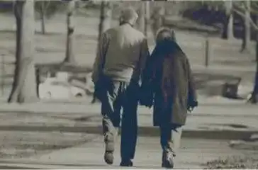  笔触曲园朝露夕暮,你是我最美的陪伴搜狐社会搜狐网