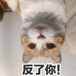  表情包小奶猫老公,小心心给你肥猫我只想好好当几天废人