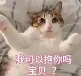  怎么让男女朋友不经意地看到这篇文章