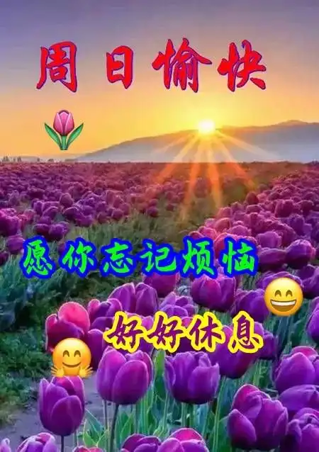  2020年周末早上好最棒问候表情祝福语录,清晨最美祝福美图