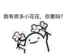  飘落速度是秒速五厘米啊等等刚刚那是什么花