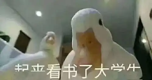 叮你的寒假生活指南已上线