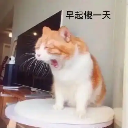  让人笑到嘴脚开裂的30条沙雕文案永远年轻,永远花呗花不清