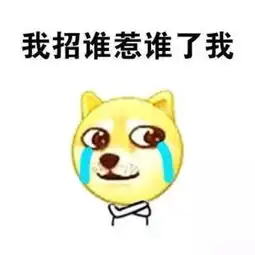  干电力的你,这一年到底经历了什么